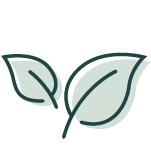 Green Tea Extract